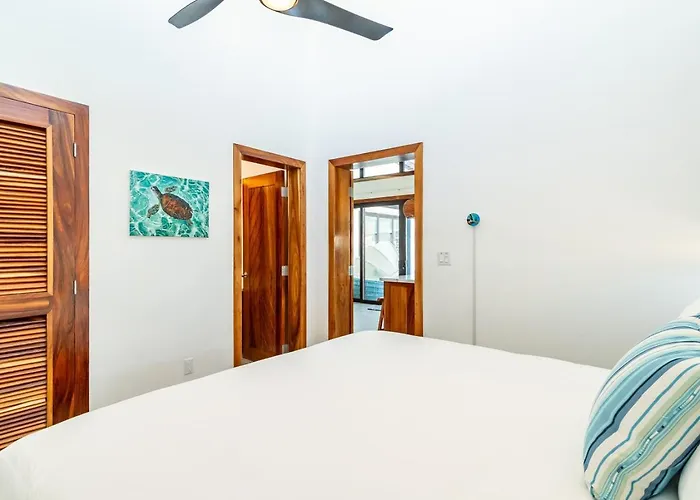 Sea Zen And Mistico Club Boat Shuttle Villa