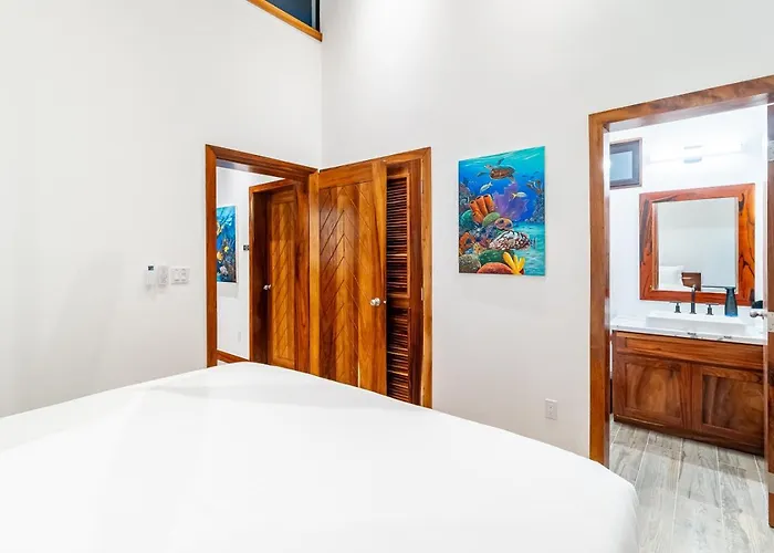 Sea Zen And Mistico Club Boat Shuttle Villa San Pedro (Ambergris Caye)