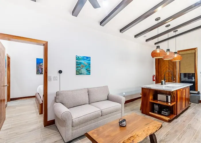 Sea Zen And Mistico Club Boat Shuttle Villa San Pedro (Ambergris Caye)