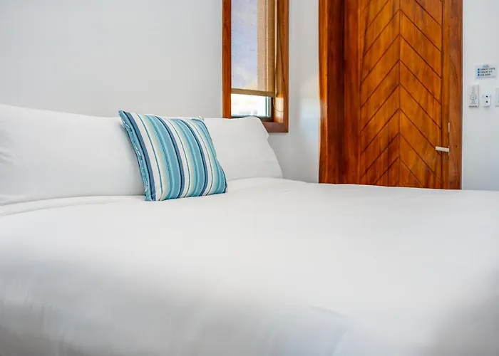 Sea Zen And Mistico Club Boat Shuttle *